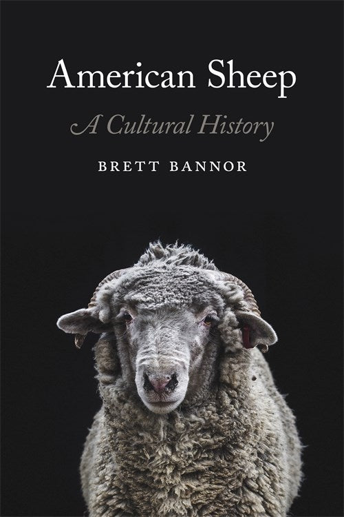 Book cover: American Sheep