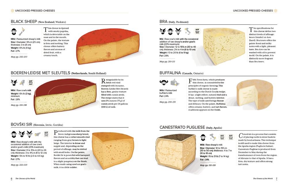 Know your Cheese: A complete guide to types of Cheese – Food & Recipes
